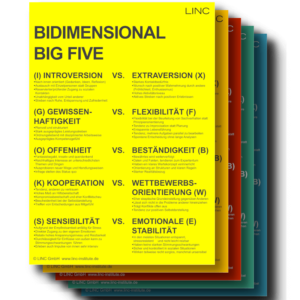 Bidimensionales BIG FIVE Modell - Poster