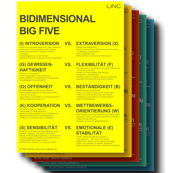 Bidimensionales BIG FIVE Modell - Poster