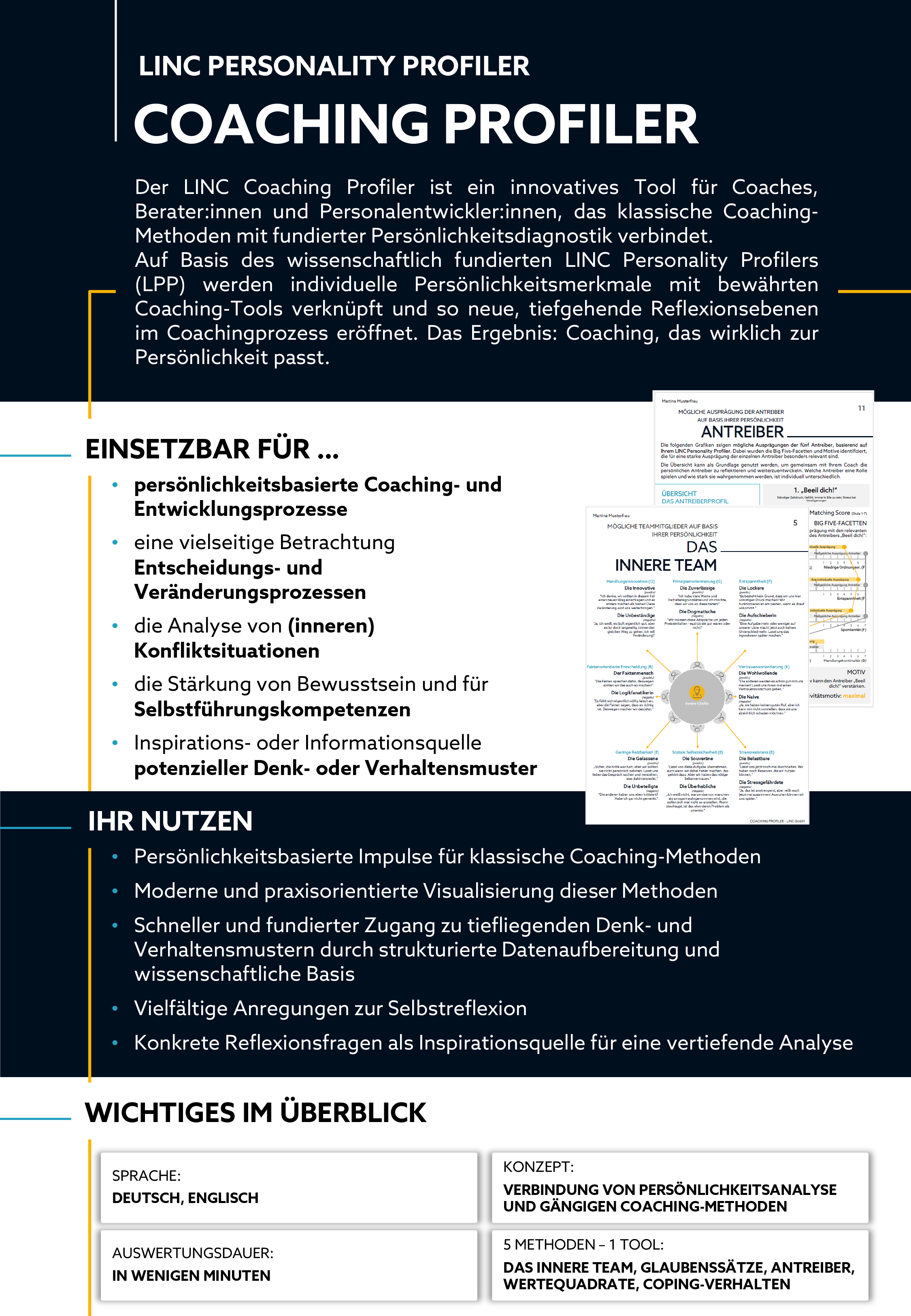 LINC COMPANION Infoflyer