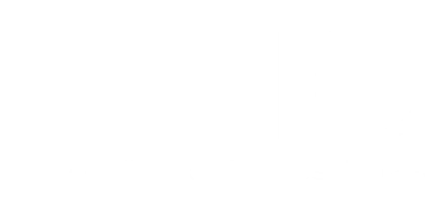Logo Linc Personality for Professionals