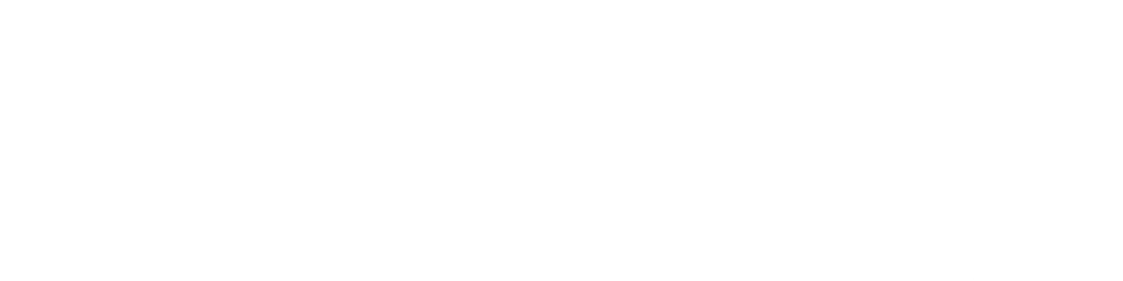 enercity Logo Online ohneClaim – LINC Personality Profiler