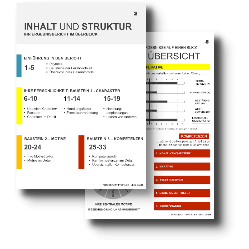 LPP Personality Test BIG FIVE – LINC Personality Profiler