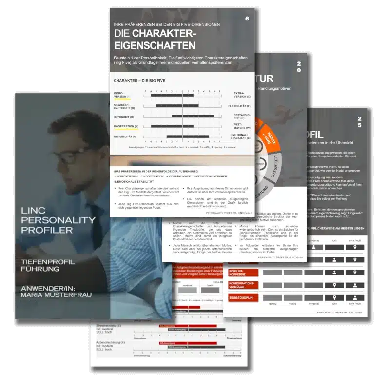 LPP Personality Test BIG FIVE – LINC Personality Profiler