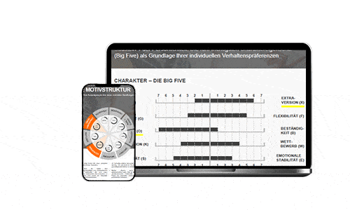 Infoveranstaltung LINC PERSONALITY PROFILER – LINC Personality Profiler