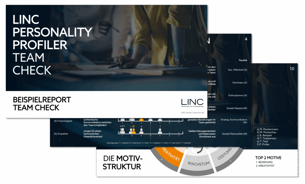 TEAM CHECK – LINC Personality Profiler