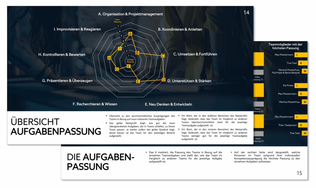 Team Check Spinnennetz Aufgabenpassung – LINC Personality Profiler