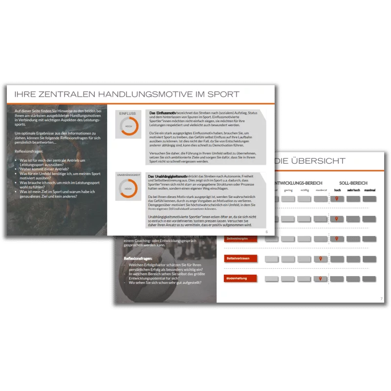 Sports Profiler – LINC Personality Profiler