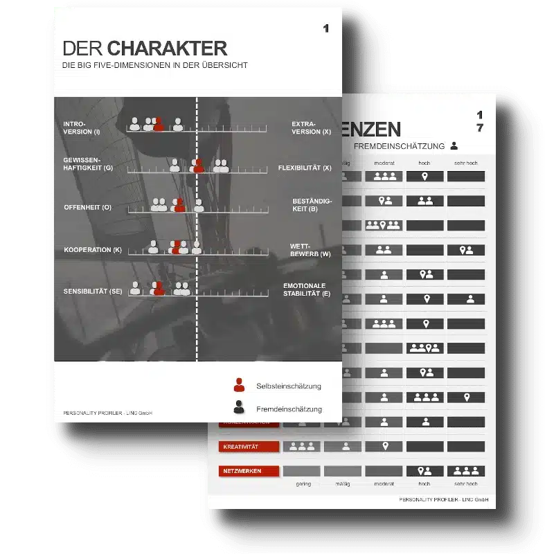 Fremdeinschätzung – LINC Personality Profiler